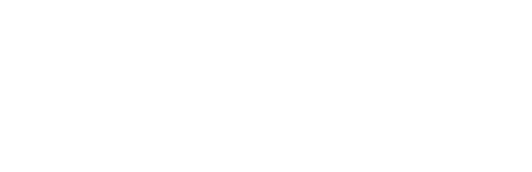 TOYO聯名電動滑台/電動缸 高C/P值 高剛性 最大可搬重量110 kg